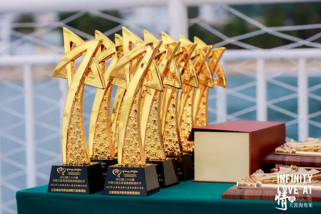 三亚旅游文化发展集团有限公司