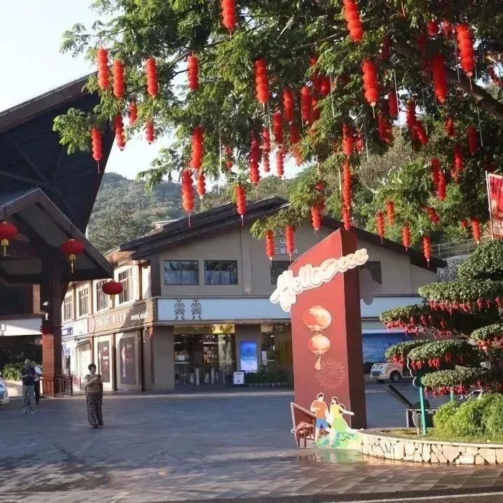 三亚旅游文化发展集团有限公司