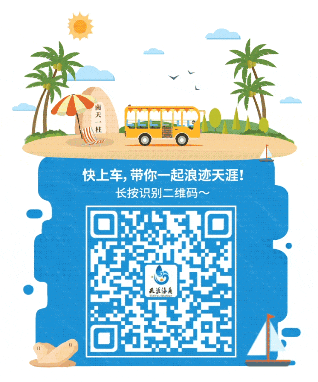 三亚旅游文化发展集团有限公司