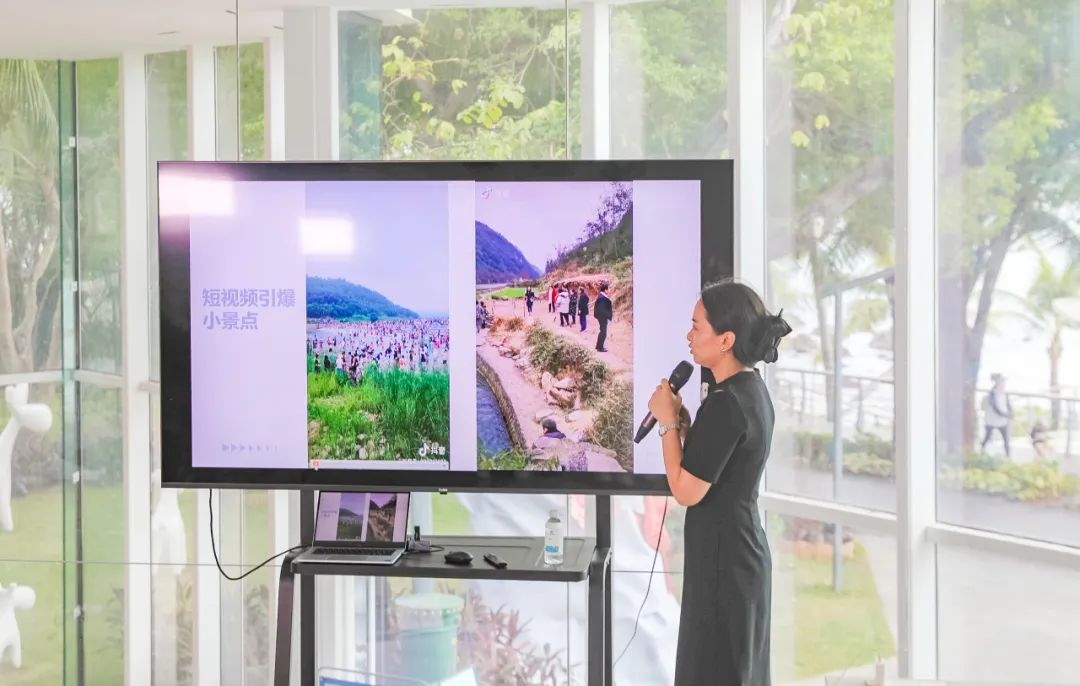 三亚旅游文化发展集团有限公司