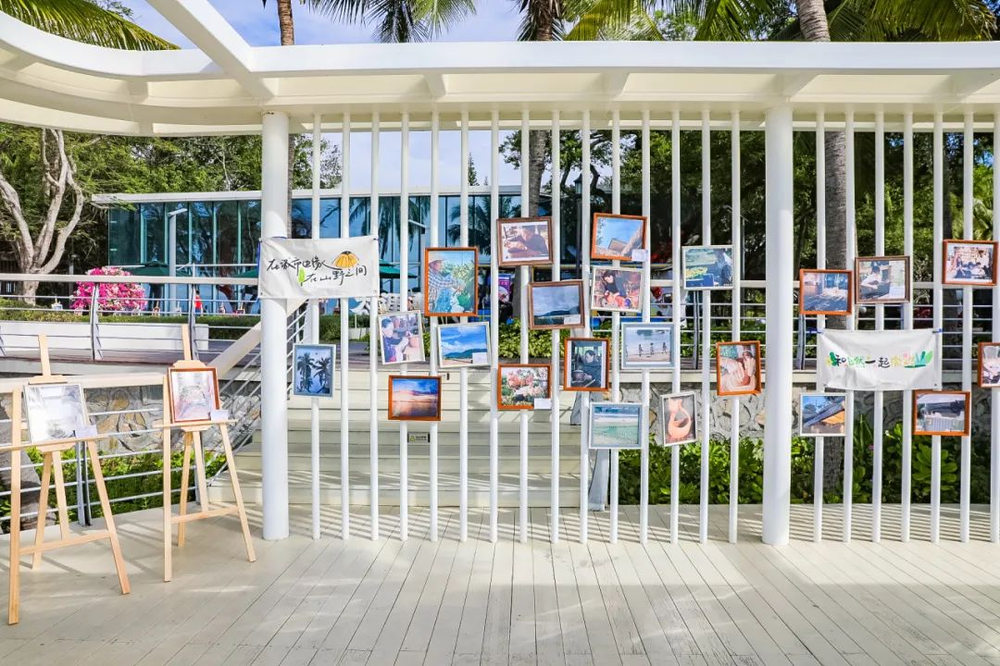 三亚旅游文化发展集团有限公司