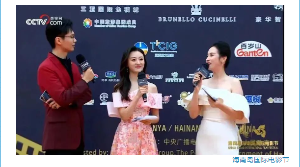 三亚旅游文化发展集团有限公司