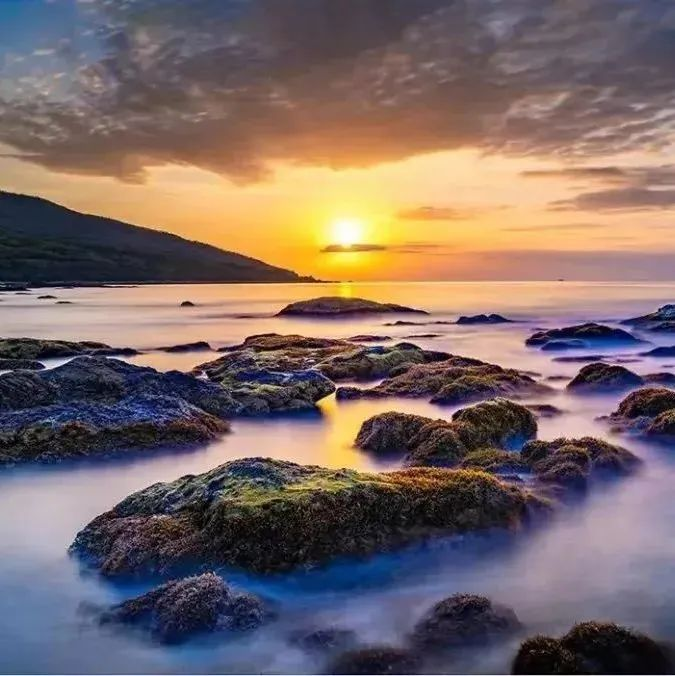 三亚旅游文化发展集团有限公司