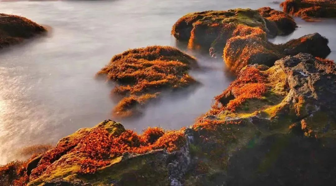 三亚旅游文化发展集团有限公司