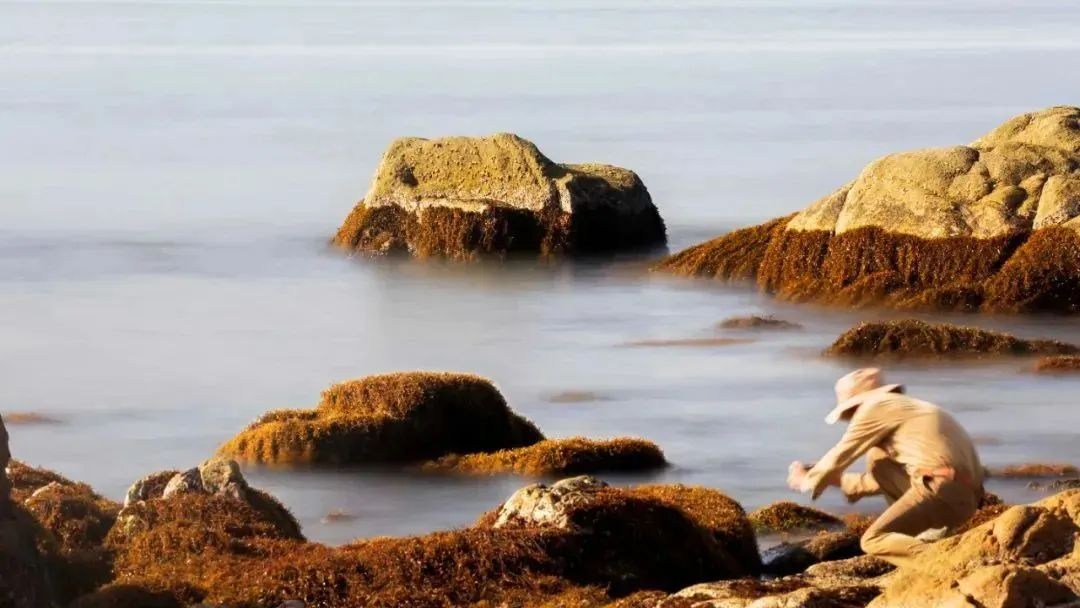 三亚旅游文化发展集团有限公司