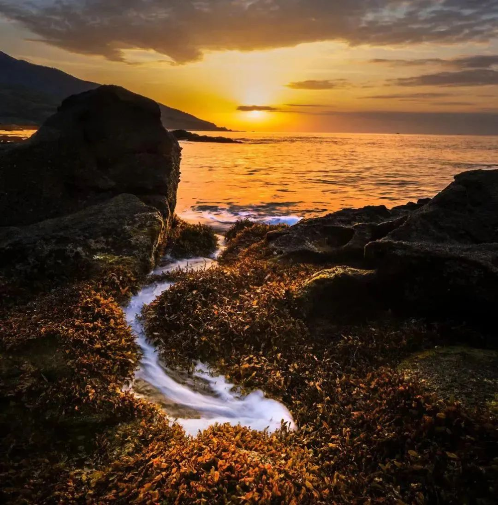 三亚旅游文化发展集团有限公司