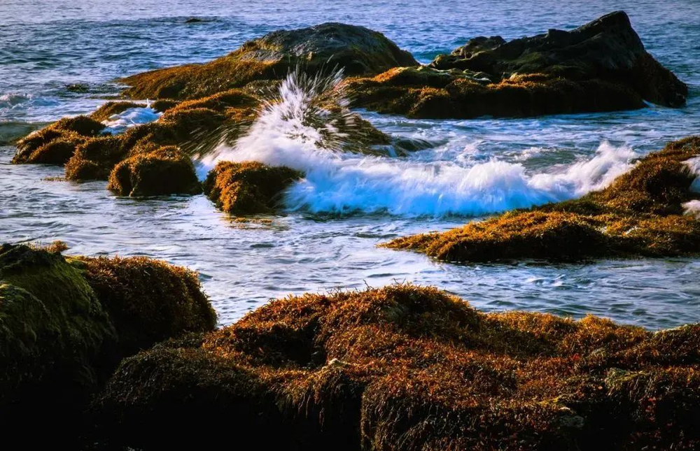 三亚旅游文化发展集团有限公司