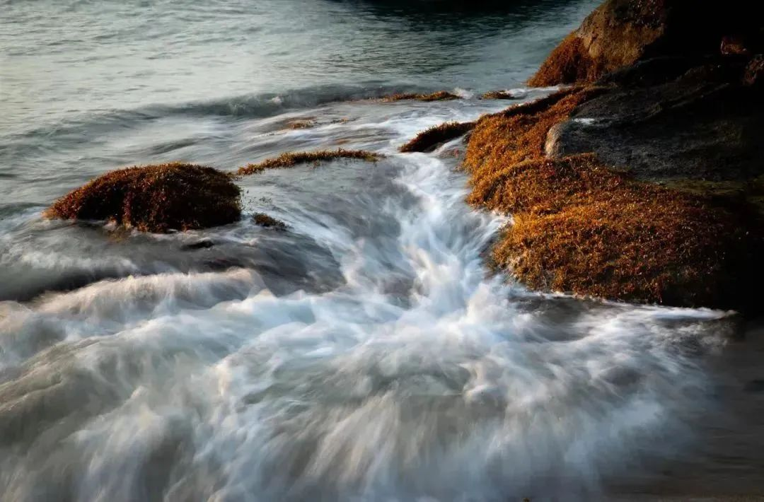 三亚旅游文化发展集团有限公司