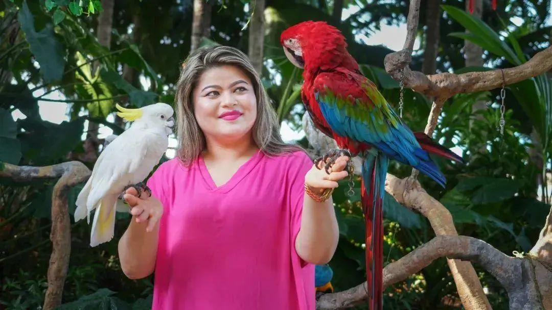 三亚旅游文化发展集团有限公司