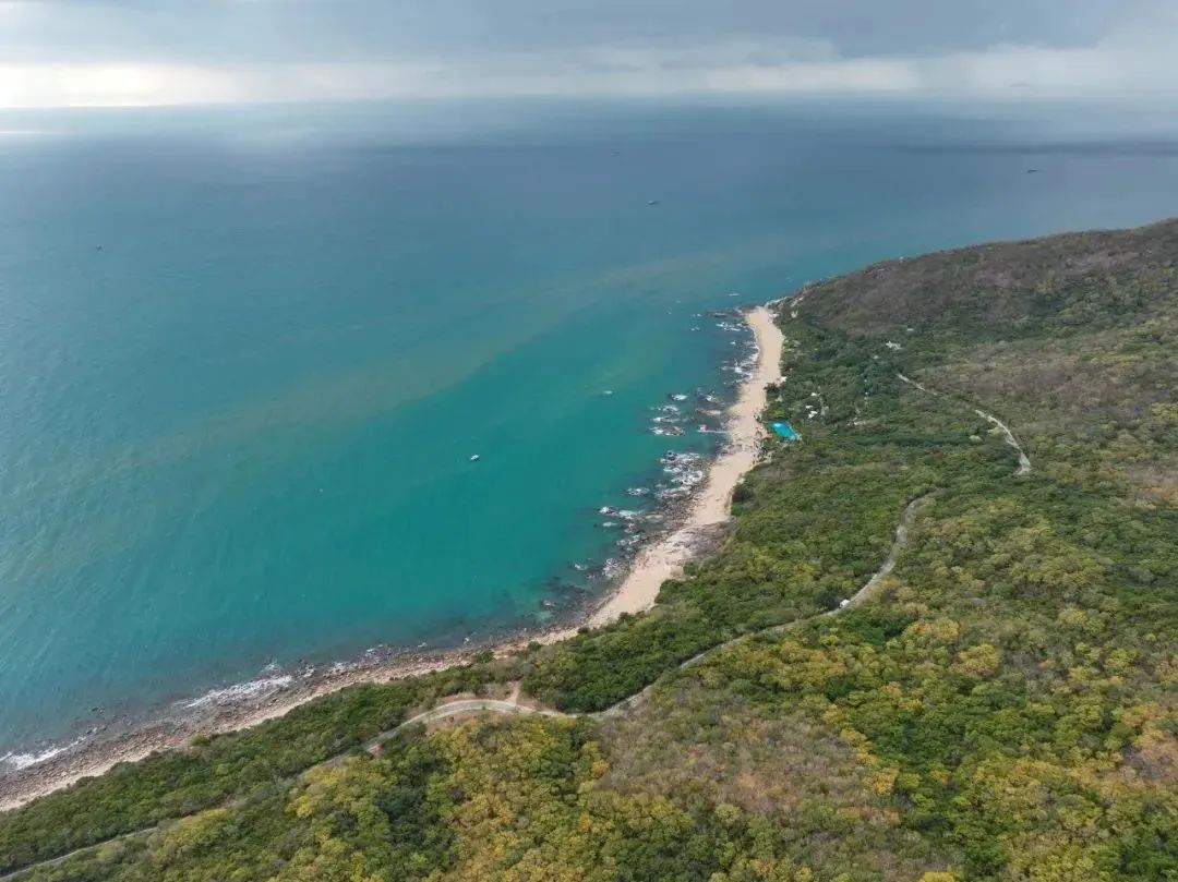 三亚旅游文化发展集团有限公司