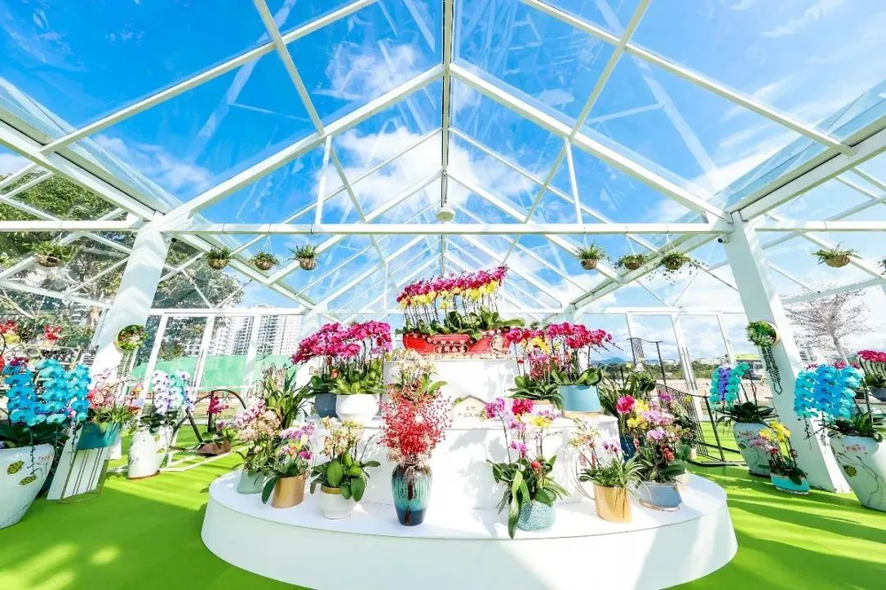 三亚旅游文化发展集团有限公司