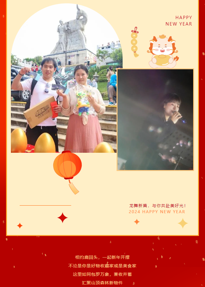 三亚旅游文化发展集团有限公司