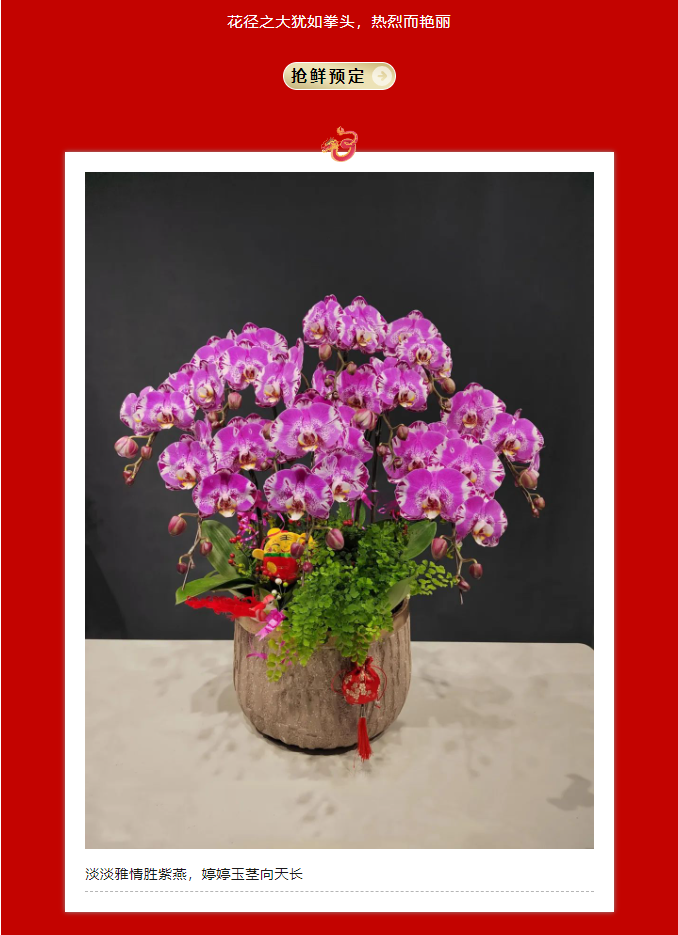 三亚旅游文化发展集团有限公司