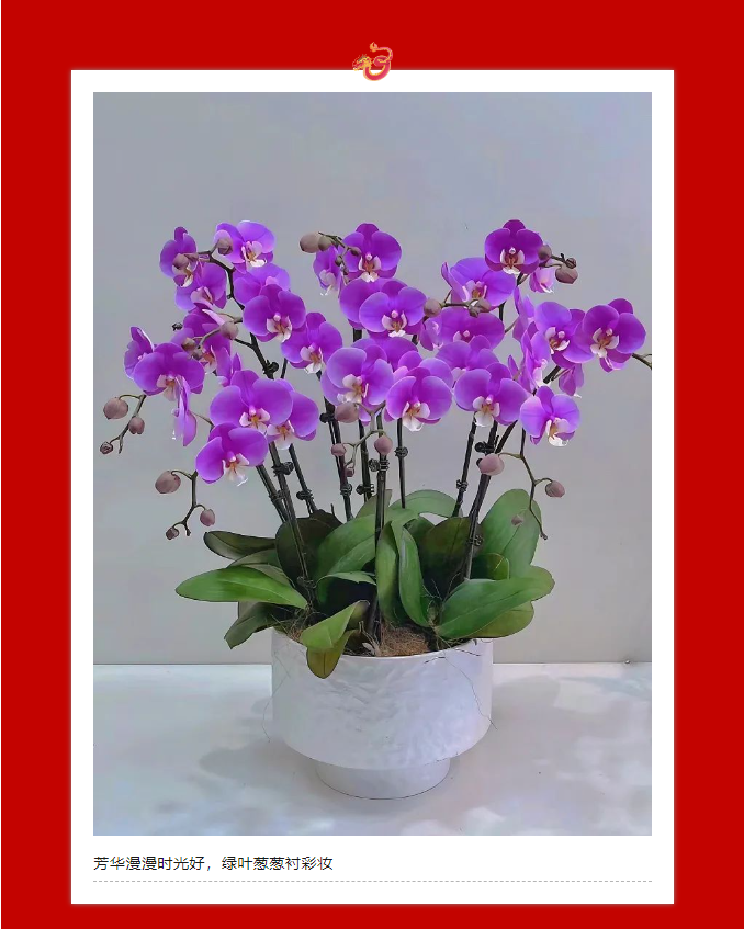 三亚旅游文化发展集团有限公司