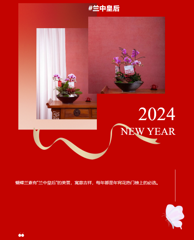 三亚旅游文化发展集团有限公司