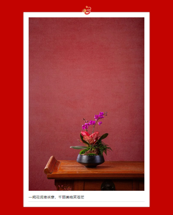 三亚旅游文化发展集团有限公司