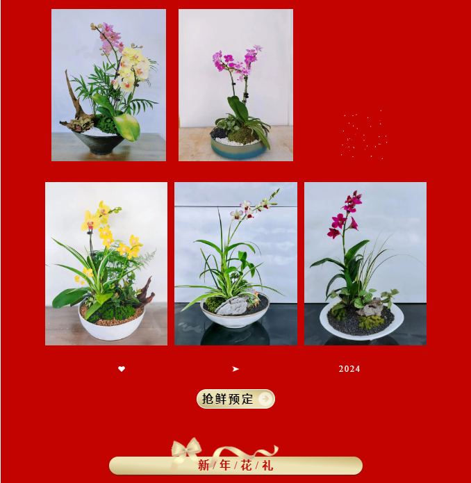 三亚旅游文化发展集团有限公司