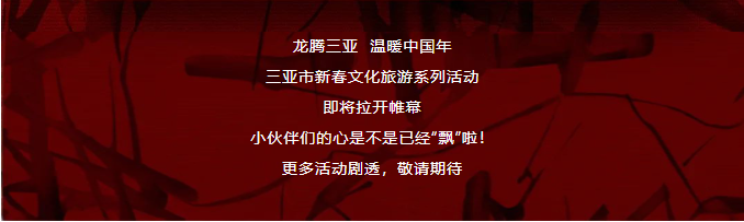 三亚旅游文化发展集团有限公司