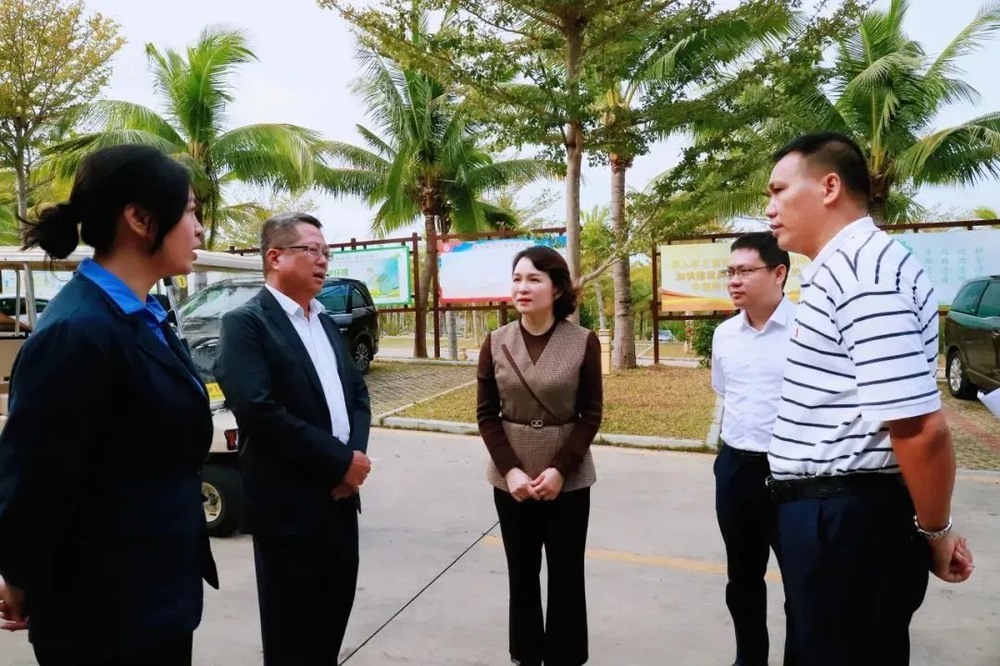 三亚旅游文化发展集团有限公司 三亚旅游文化发展集团有限公司