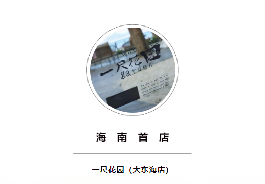 三亚旅游文化发展集团有限公司