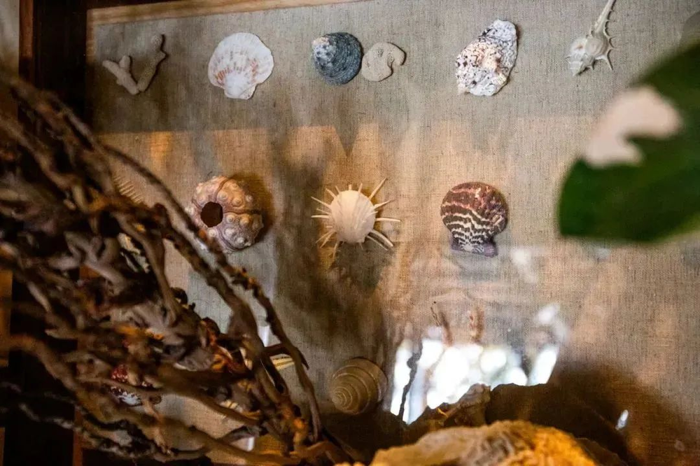 三亚旅游文化发展集团有限公司