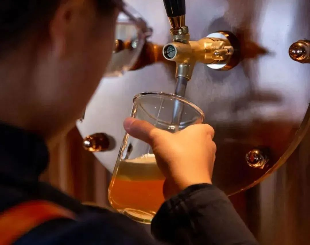 三亚旅游文化发展集团有限公司