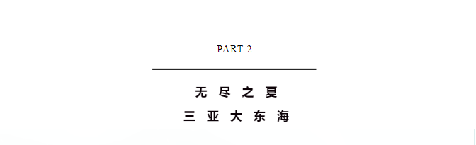 三亚旅游文化发展集团有限公司