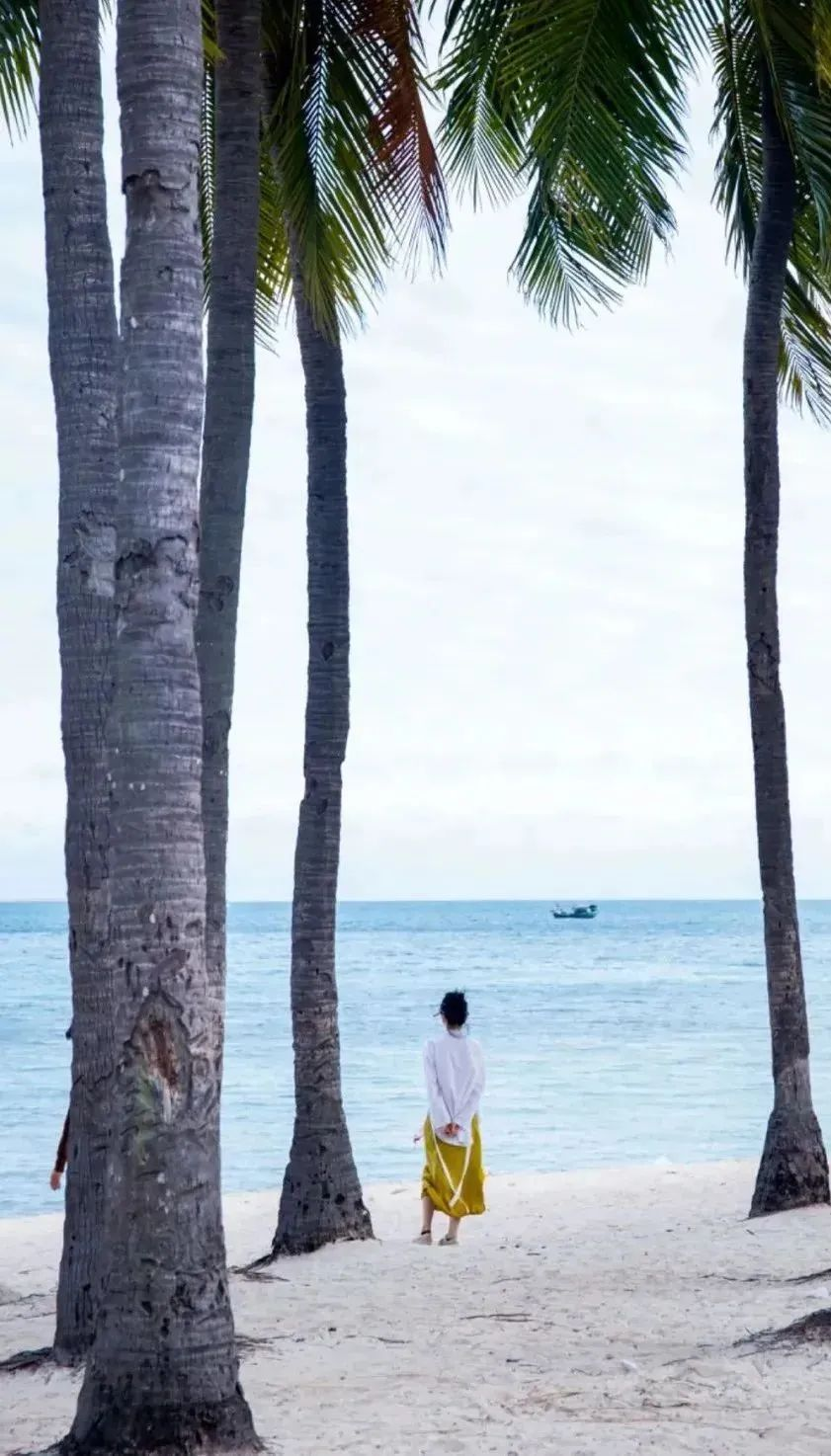 三亚旅游文化发展集团有限公司