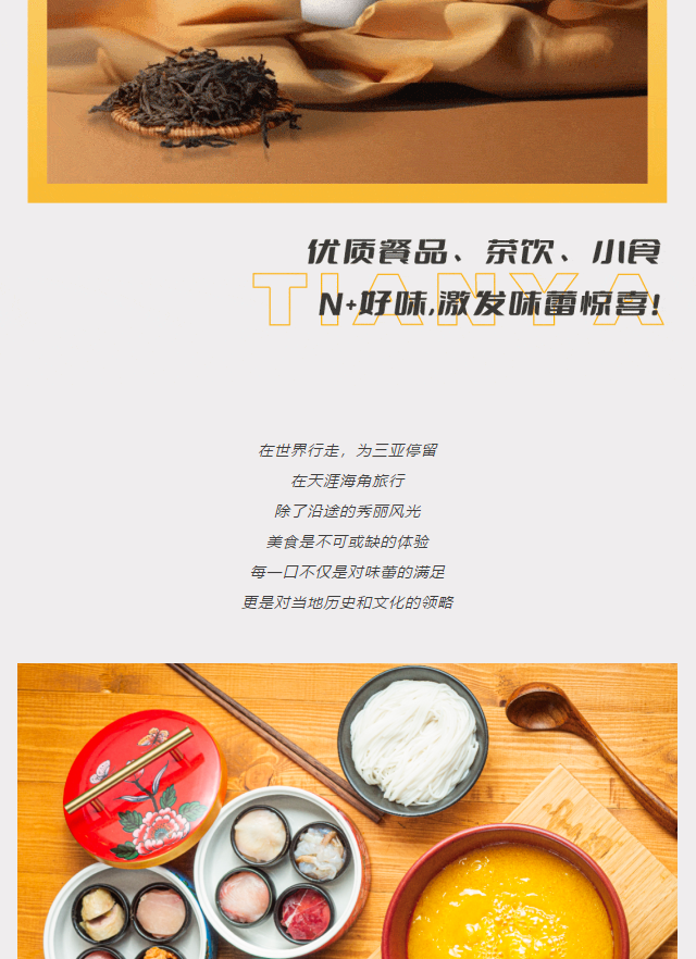 三亚旅游文化发展集团有限公司