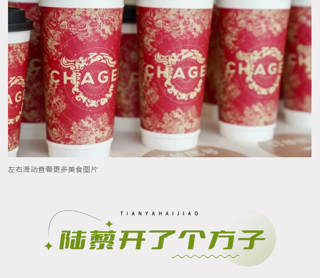 三亚旅游文化发展集团有限公司