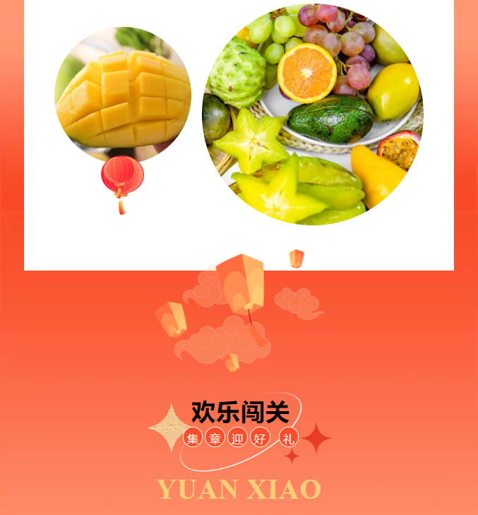 三亚旅游文化发展集团有限公司