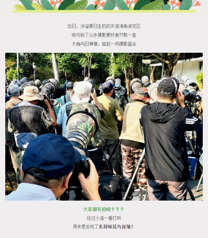 三亚旅游文化发展集团有限公司