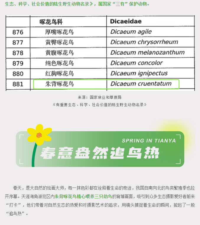 三亚旅游文化发展集团有限公司