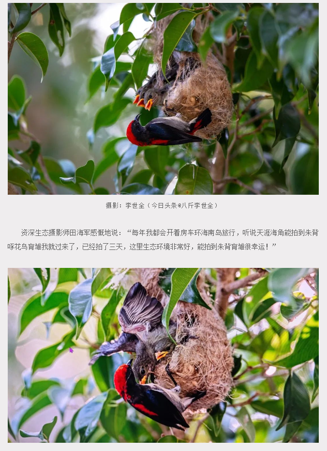 三亚旅游文化发展集团有限公司