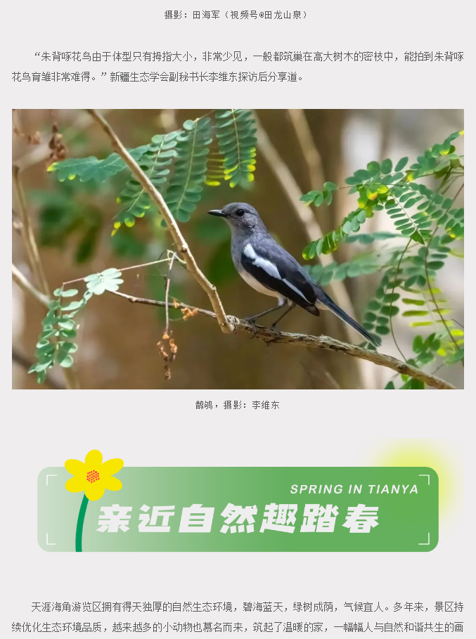 三亚旅游文化发展集团有限公司