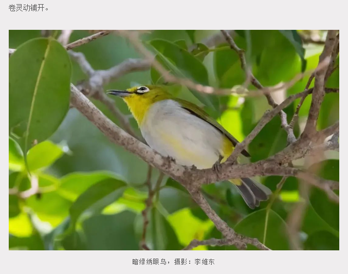 三亚旅游文化发展集团有限公司