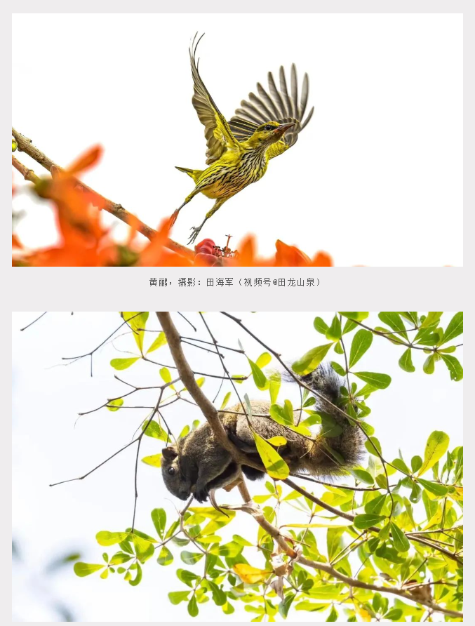 三亚旅游文化发展集团有限公司