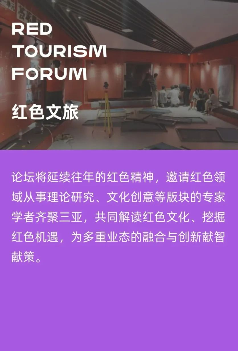 三亚旅游文化发展集团有限公司