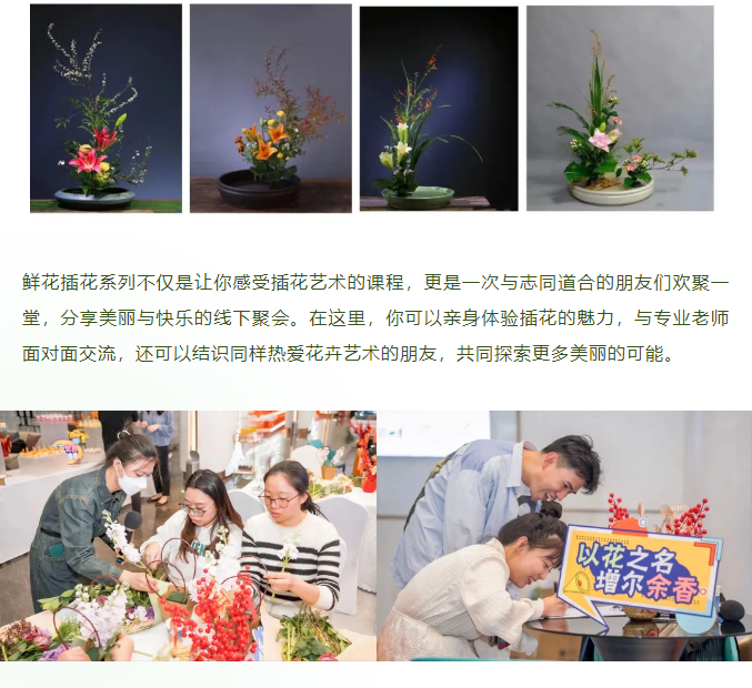 三亚旅游文化发展集团有限公司