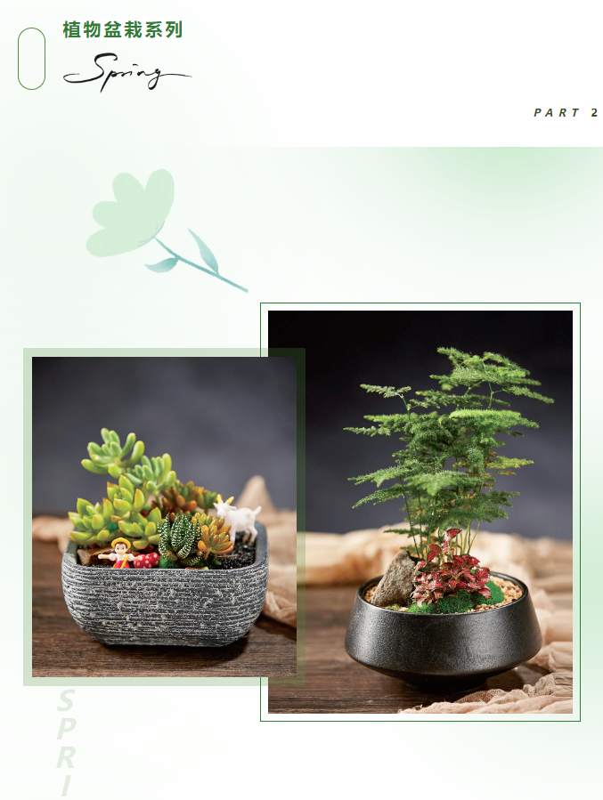 三亚旅游文化发展集团有限公司