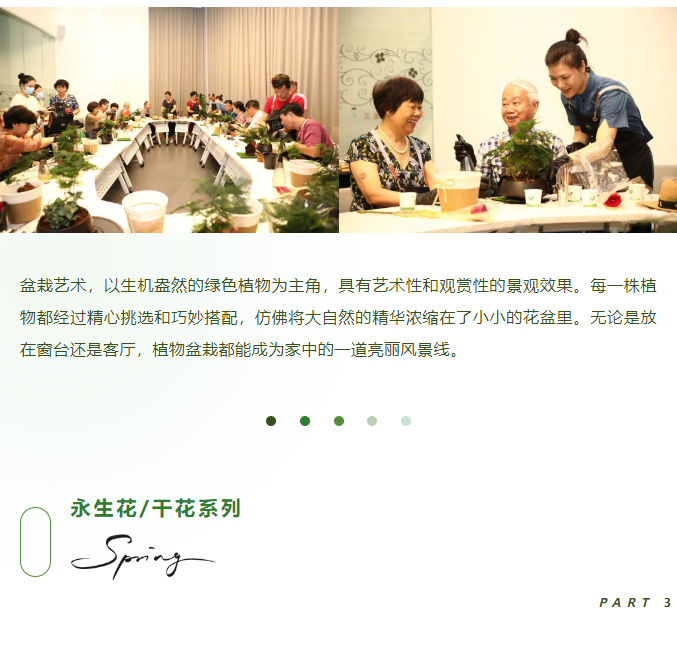 三亚旅游文化发展集团有限公司