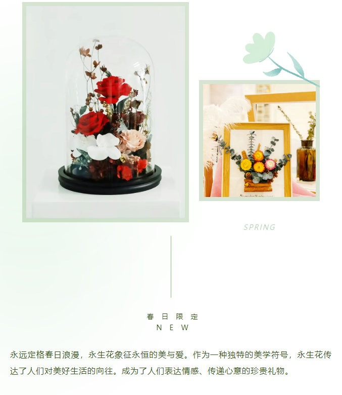 三亚旅游文化发展集团有限公司