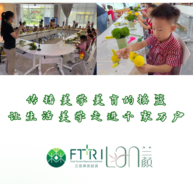 三亚旅游文化发展集团有限公司