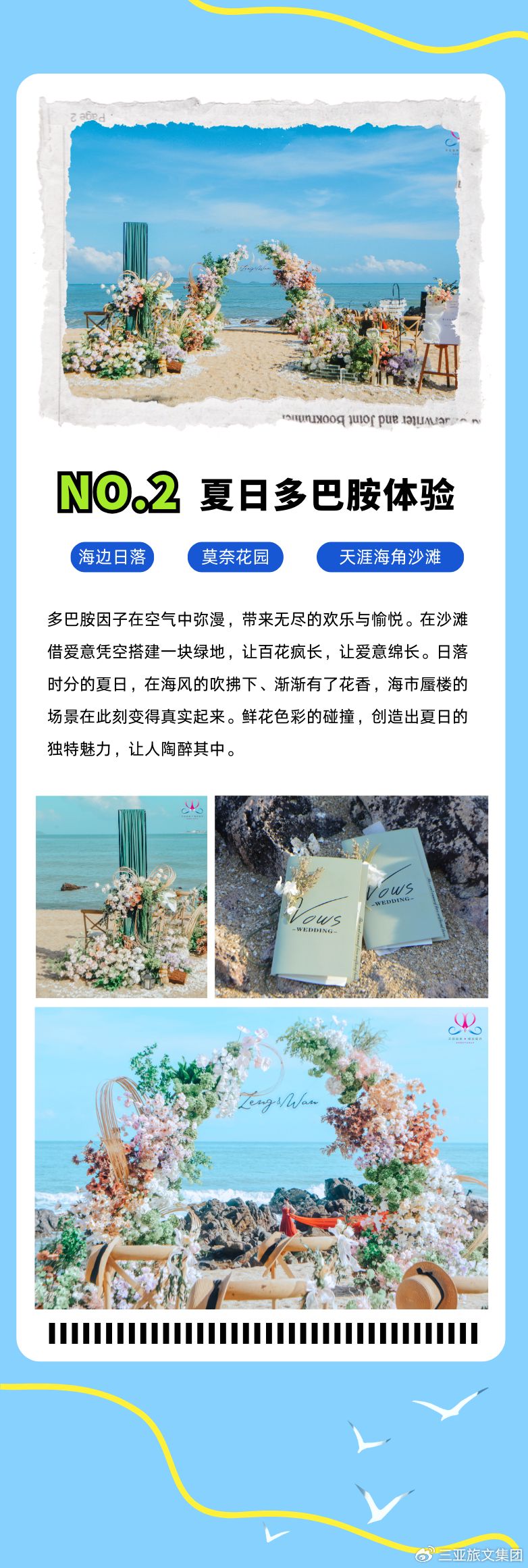 三亚旅游文化发展集团有限公司