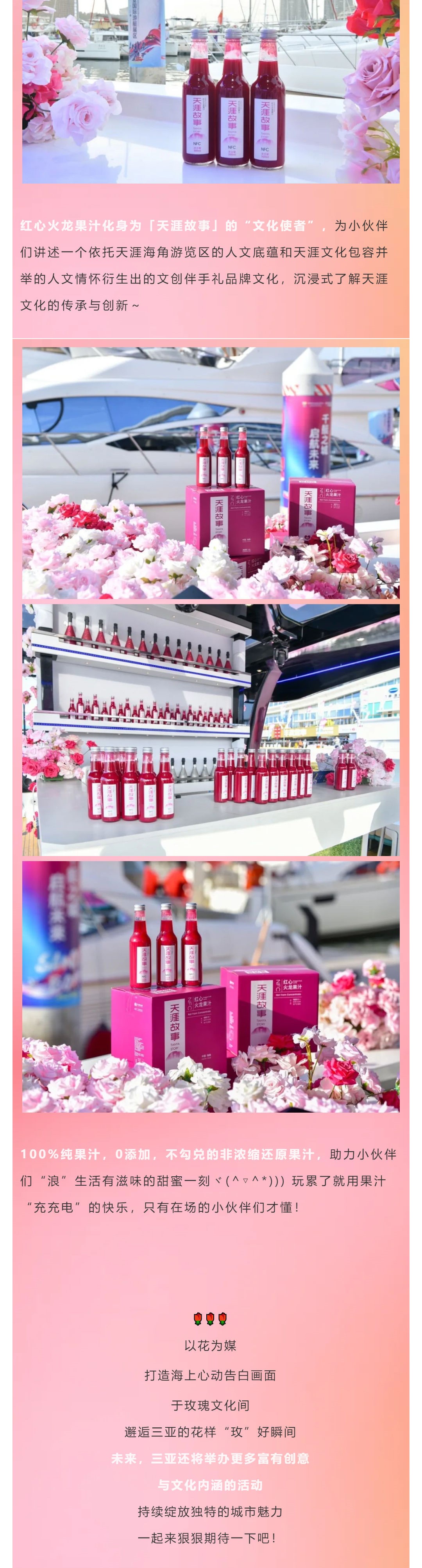 三亚旅游文化发展集团有限公司