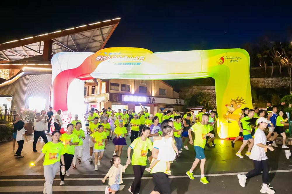 三亚旅游文化发展集团有限公司 三亚旅游文化发展集团有限公司