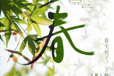 立春| 待疫情过后，我最想......