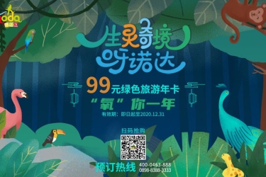 呀诺达绿色旅游年卡发售 海南居民凭卡可本年度内无限次免费畅游雨林