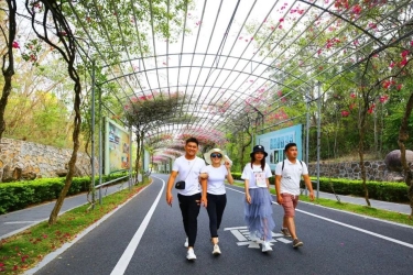 热度上升！“大三亚旅游经济圈”清明假期旅游回暖