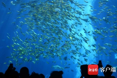 三亚线上联合营销旅游产品 24小时成交1700万元